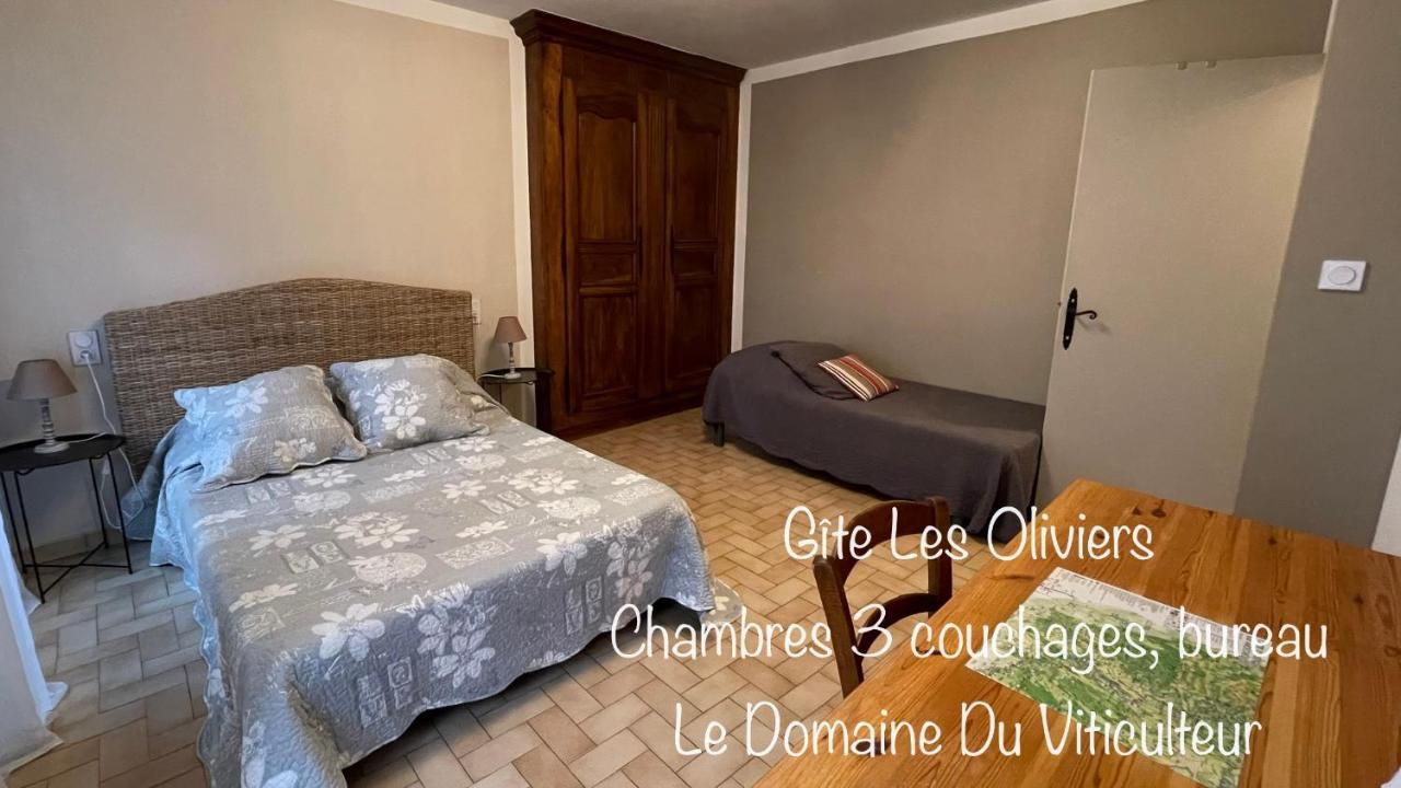 Gite Les Oliviers - Le Domaine Du Viticulteur - St Maurice D Ibie Saint-Maurice-d'Ibie Exterior photo